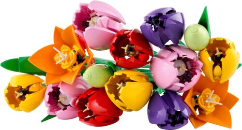 Botanicals Tulip Bouquet