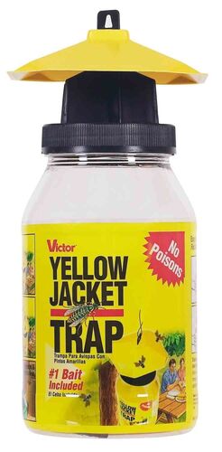 Yellow Jacket Trap