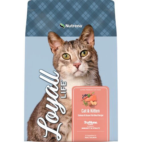 Loyall Life Cat & Kitten Salmon & Ocean Fish Meal Recipe Cat Food