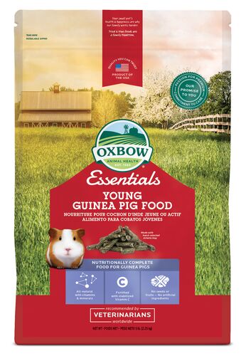 Essentials Cavy Performance Young Guinea Pig Food - 5 lb