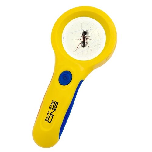 Magnifying Glass