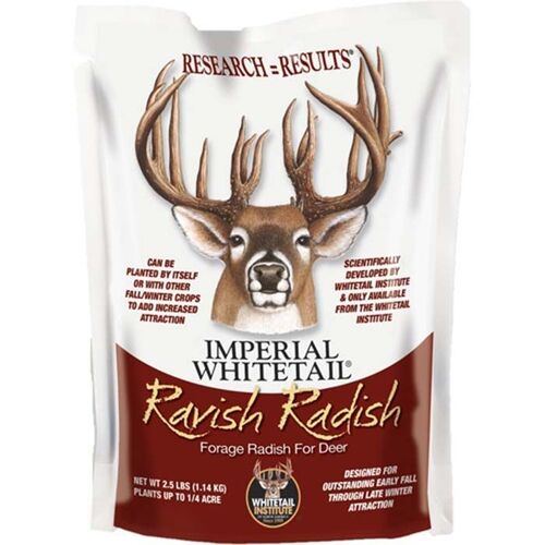 Ravish Radish Seed - 2.5 lb