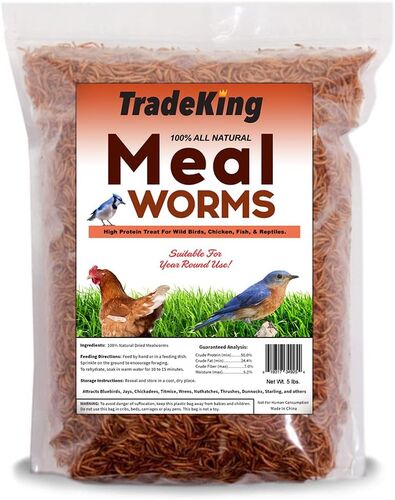 Dried Mealworms - 5 Lb