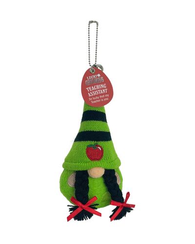 Lucky Gnomes - Teaching Assistant