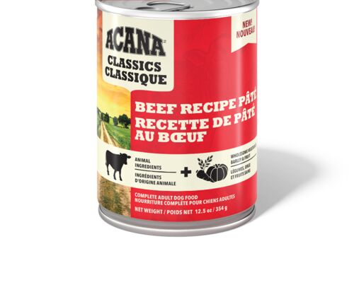 Classics Pate Beef Recipe Wet Dog Food - 12.8 oz