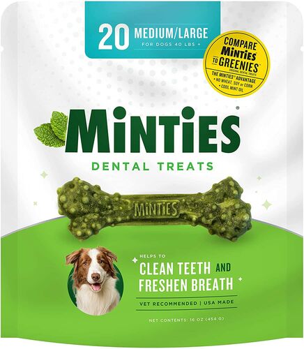 Medium Dental Treats for Dogs - 16 oz