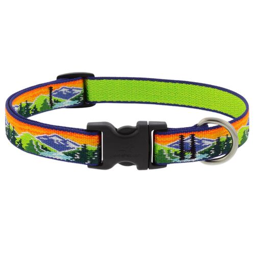 Original Designs Dog Collar