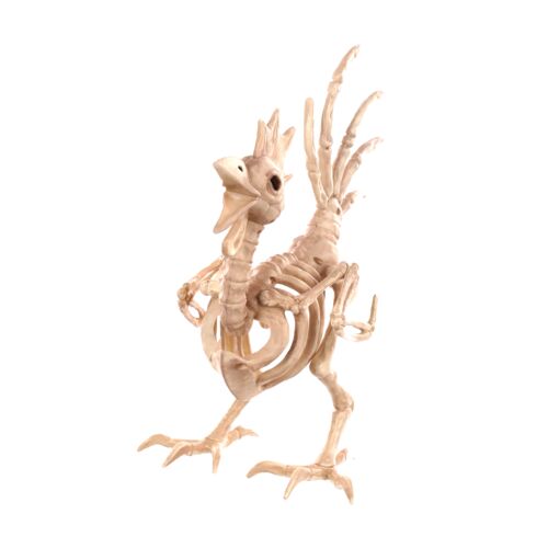 Rooster Skeleton Decoration