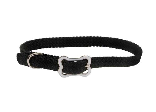 Sunburst Nylon Dog Collar with Bone Buckle