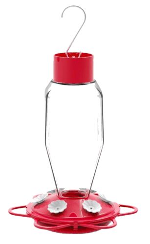Glass Bottle Hummingbird Feeder - 20 oz
