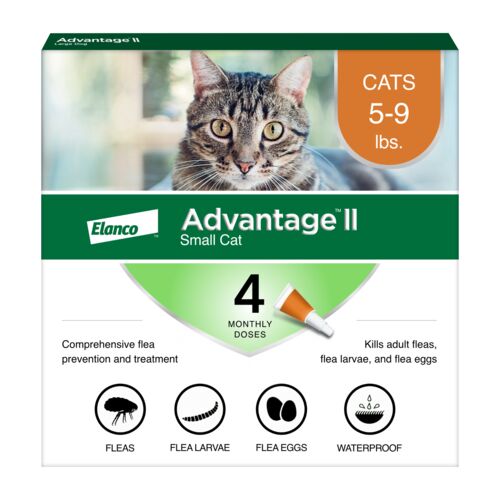 Vet-Recommended Flea Treatment & Prevention