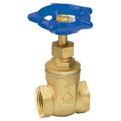 1/2" FIP x FIP Gate Valve