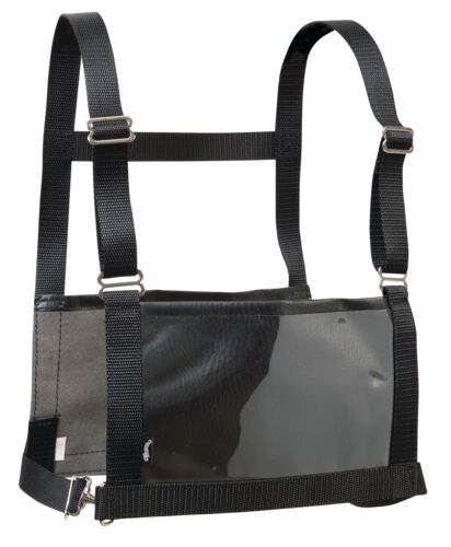 Exhibitor Number Harness