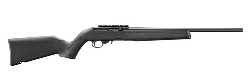 10/22 .22 LR 18.5" Barrel 10-Rounds with Scope Rail Rifle