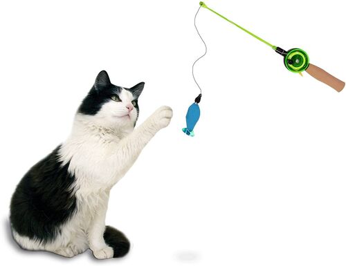 Go Fish Teaser Catnip Rod Interactive Cat Toy