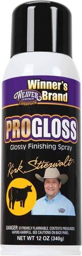 ProGloss Finishing Spray - 10 oz