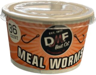 36 Ct Meal Worm