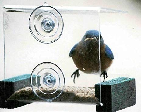 Mini Green Window Bird Feeder