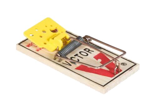 Easy Set Mouse Trap