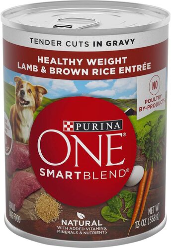 ONE SmartBlend Healthy Weight Lamb & Brown Rice Canned Dog Food - 13 oz