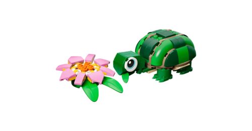 Turtle with a Water Lily Flower