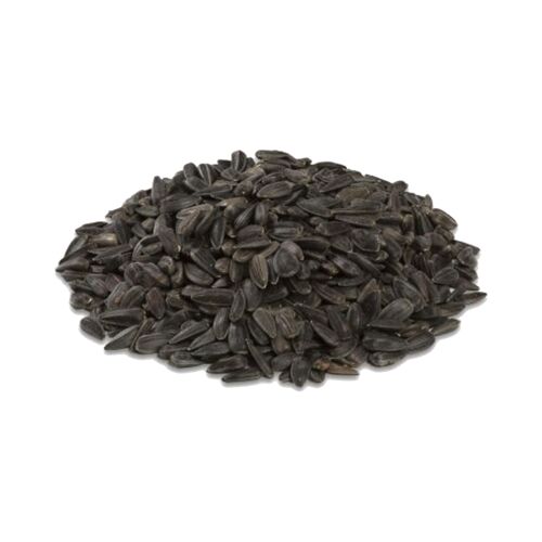 Black Oil Sunflower Seeds - (Sold by the Lb)