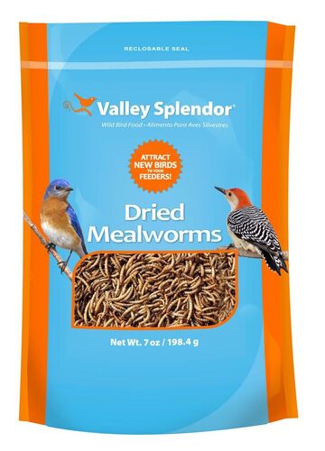 Dried Mealworms Bird Food