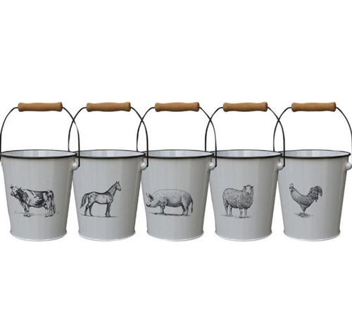 Steel Milkhouse Animals Bucket Planter - Assorted