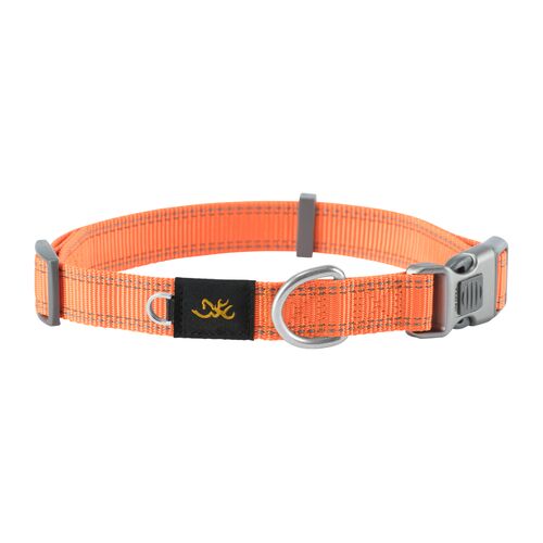Classic Webbing Dog Collar