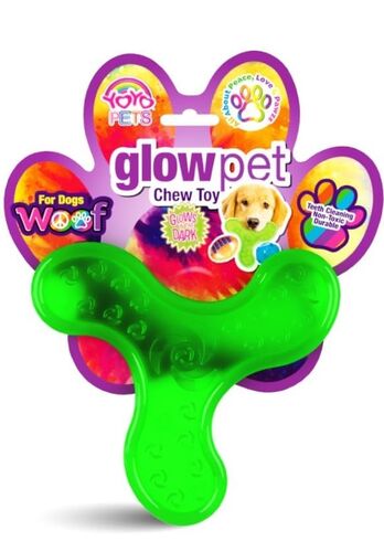 GlowPet Light Up Glow Frisbee - Assorted