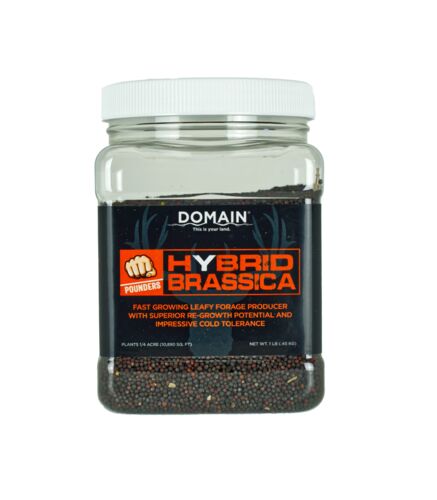 Pounder- Hybrid  Brassica Food Plot Seed