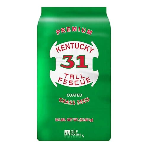 Kentucky 31 Tall Fescue Coated Grass Seed - 50 Lb