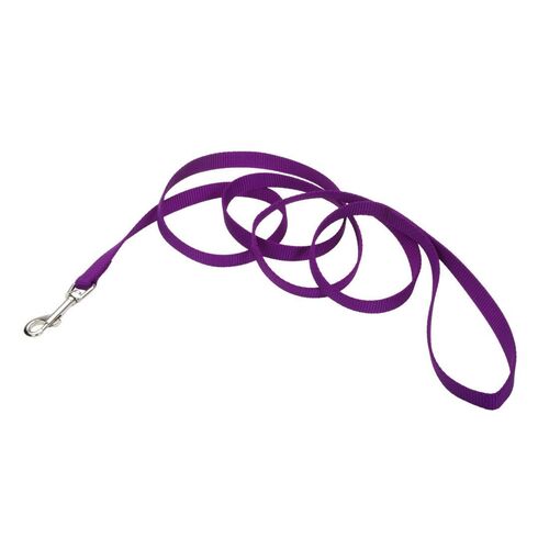 Nylon Dog Leash
