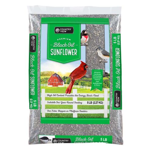 Black Oil Sunflower Birdseed
