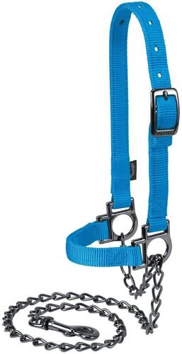Nylon Hurricane Blue Adjustable Sheep Halter with Chain Lead