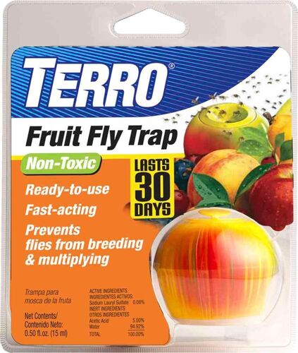 Fruit Fly Trap