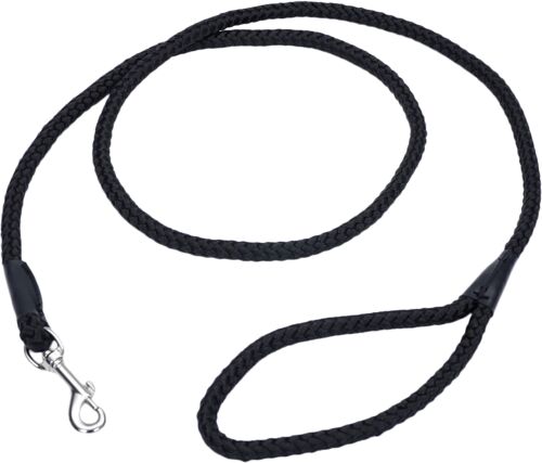 6' Braided Rope Dog Leash