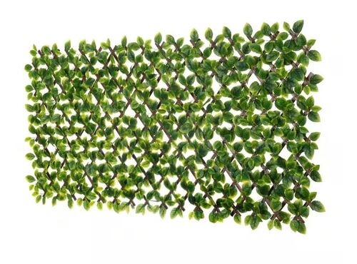 36" x 72" Wild Mint Leaves PVC Expandable Trellis