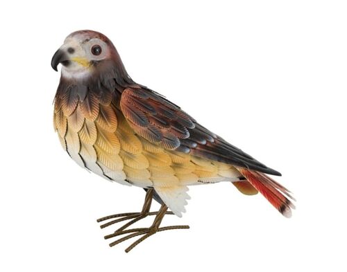 15" Red Tail Hawk Decor