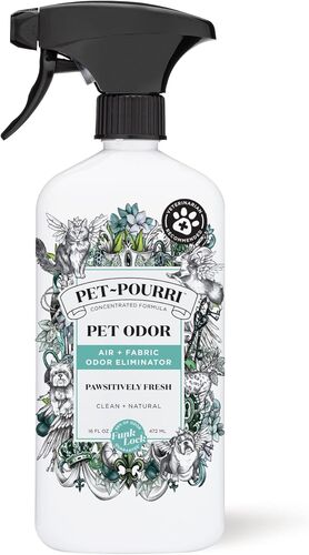 Dog Odor Eliminator Air + Fabric Spray in Pawsitively Fresh - 16 oz