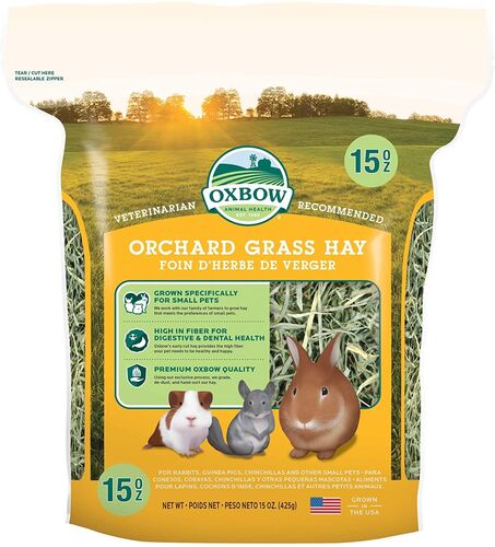 Orchard Grass Hay for Small Pets - 15 oz