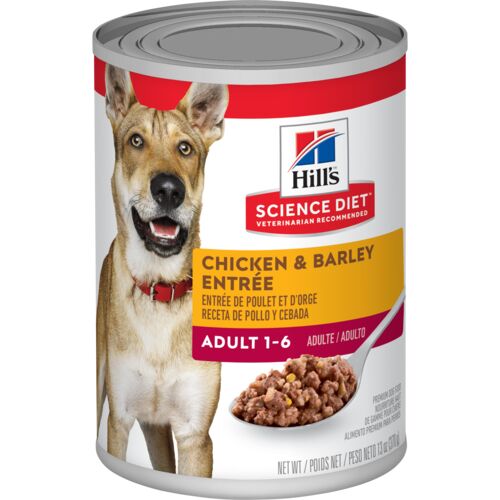 Adult Chicken & Barley Entree Dog Food - 13 oz