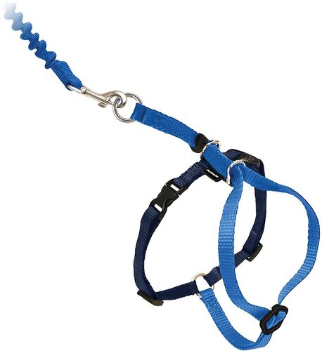 Come With Me Kitty Harness and Bungee Leash Medium in Royal Blue/Navy