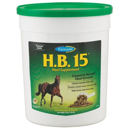 H.B. 15 Biotin Supplement