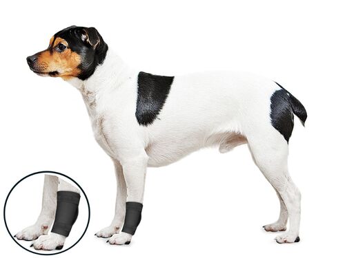 Ligament Protector Ortho Wrap for Dogs - Small