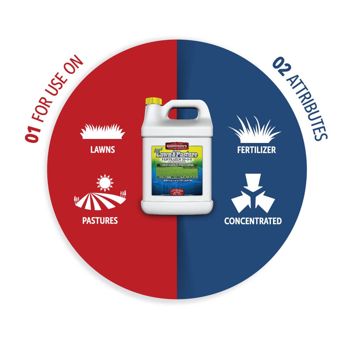 Gordon's Liquid Lawn & Pasture Fertilizer 2000 with Micronutrients 1 Gallon
