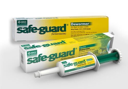 Safe-Guard Equine Dewormer - 92 gm