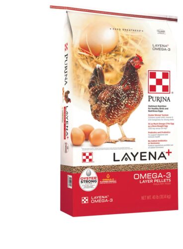 Layena Plus Omega-3 Chicken Food - 40 lbs