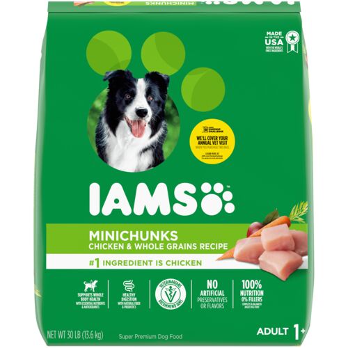 Adult Chicken and Whole Grains Minichunks Dry Dog Food