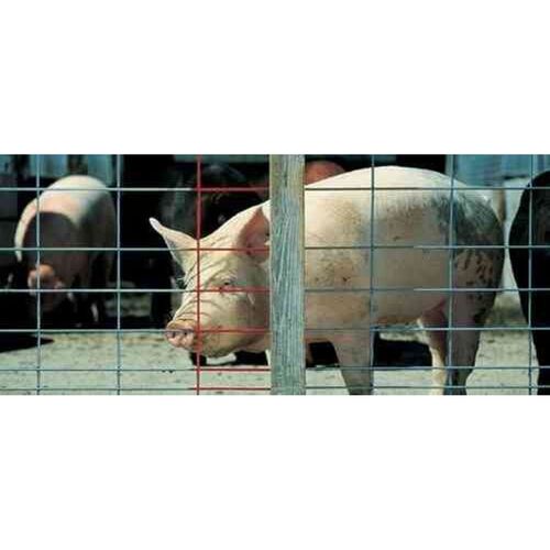 34" Wire Hog Panel - 16'